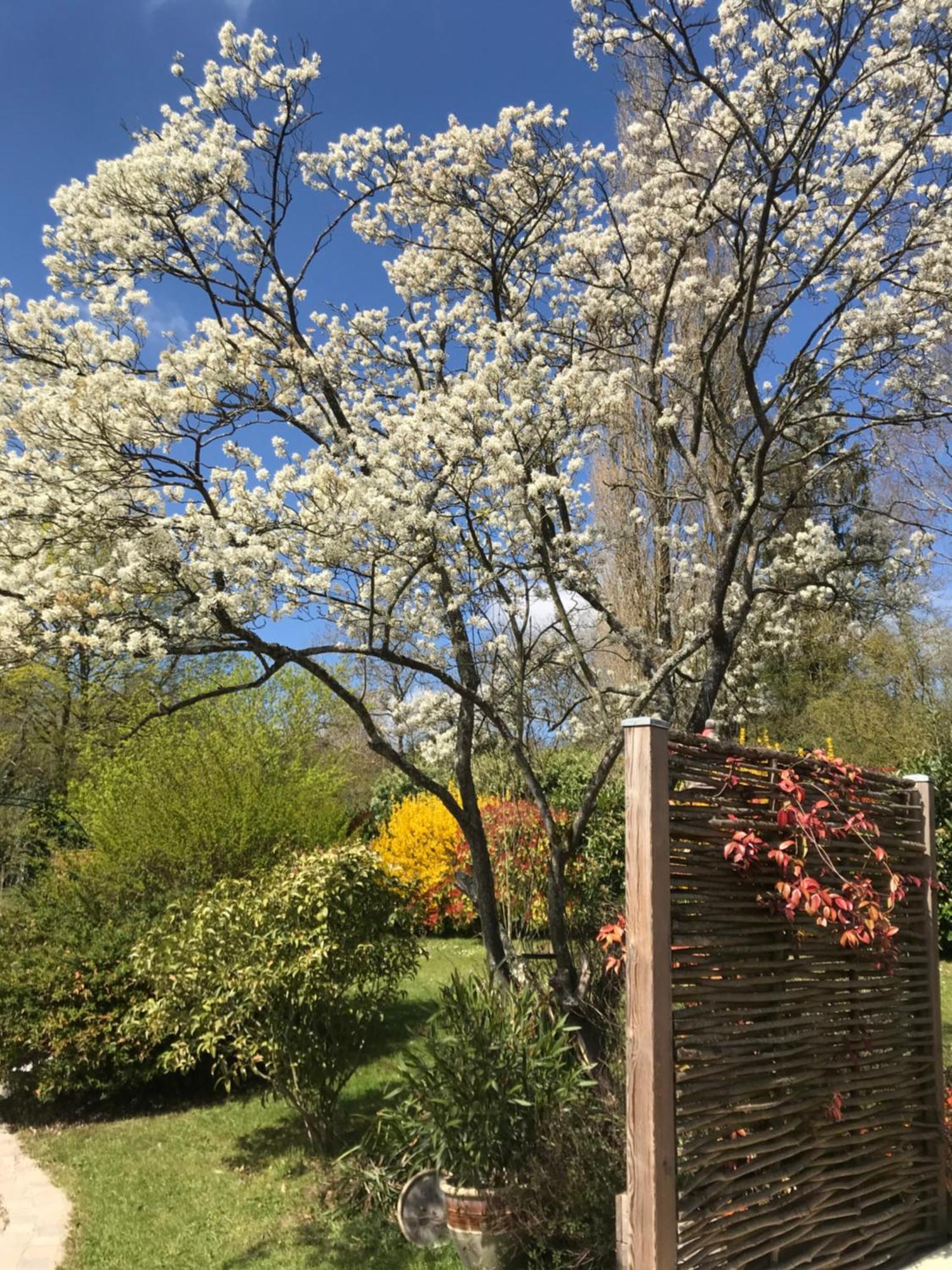 Maison A La Campagne Proche Holiday home Couilly-Pont-aux-Dames
